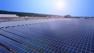 中美硅晶与永利yl23411数码携手战略合作